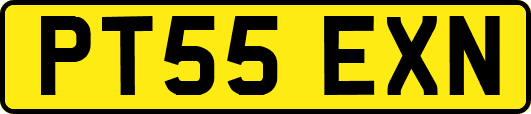 PT55EXN
