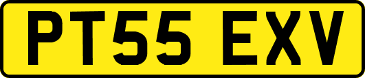 PT55EXV