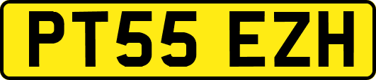 PT55EZH