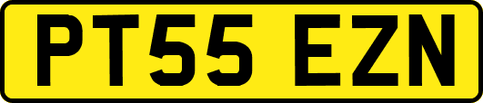 PT55EZN