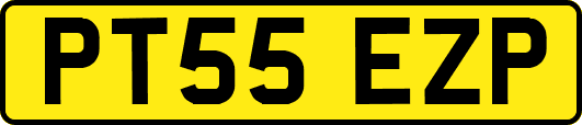 PT55EZP