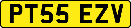 PT55EZV