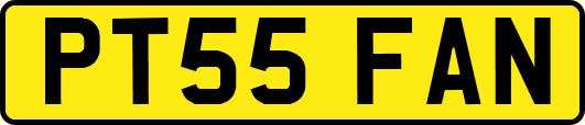 PT55FAN