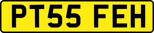 PT55FEH
