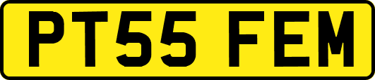 PT55FEM