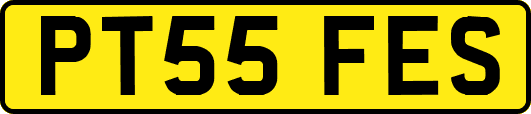 PT55FES
