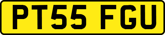 PT55FGU