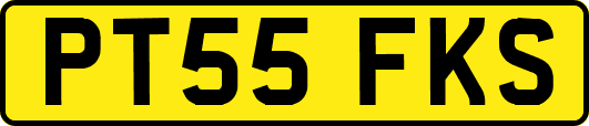 PT55FKS
