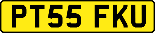 PT55FKU