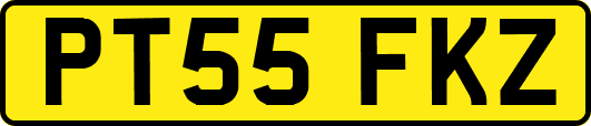 PT55FKZ