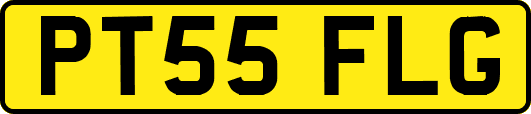 PT55FLG
