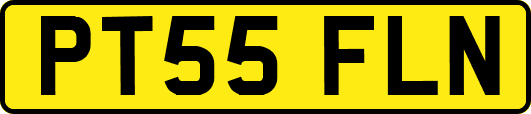 PT55FLN