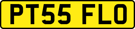 PT55FLO