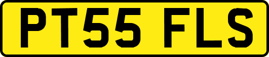 PT55FLS