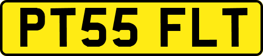 PT55FLT