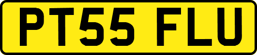 PT55FLU