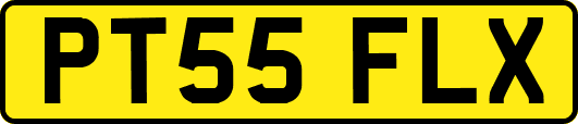 PT55FLX