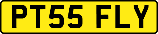 PT55FLY