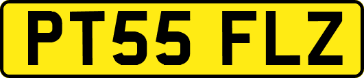 PT55FLZ