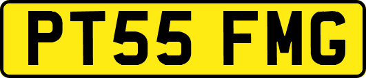 PT55FMG