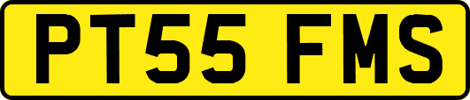 PT55FMS
