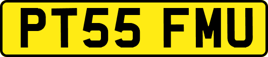 PT55FMU