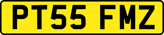 PT55FMZ