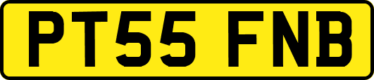 PT55FNB