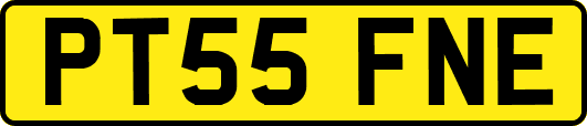 PT55FNE
