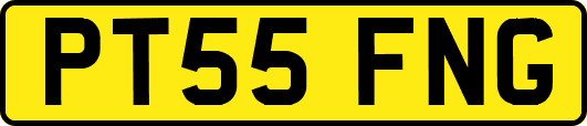 PT55FNG