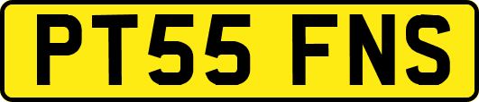 PT55FNS