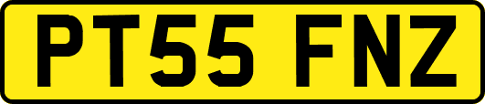 PT55FNZ