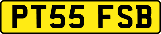 PT55FSB