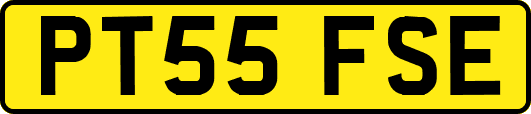 PT55FSE