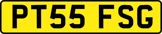 PT55FSG