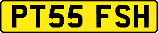 PT55FSH