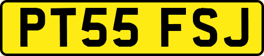 PT55FSJ
