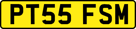 PT55FSM