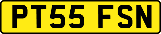 PT55FSN