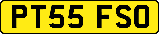 PT55FSO