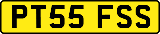 PT55FSS
