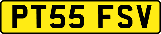 PT55FSV
