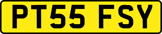 PT55FSY