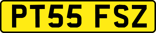 PT55FSZ