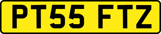 PT55FTZ