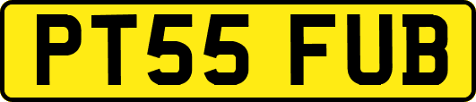 PT55FUB