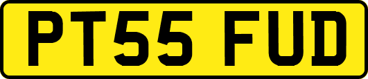 PT55FUD