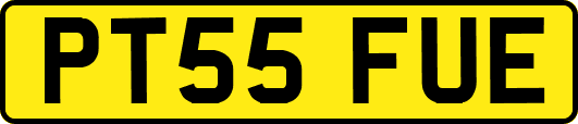 PT55FUE