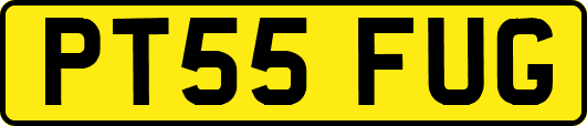 PT55FUG