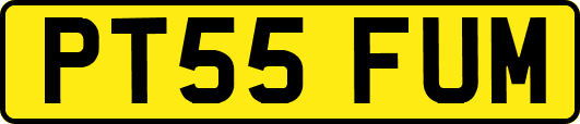 PT55FUM